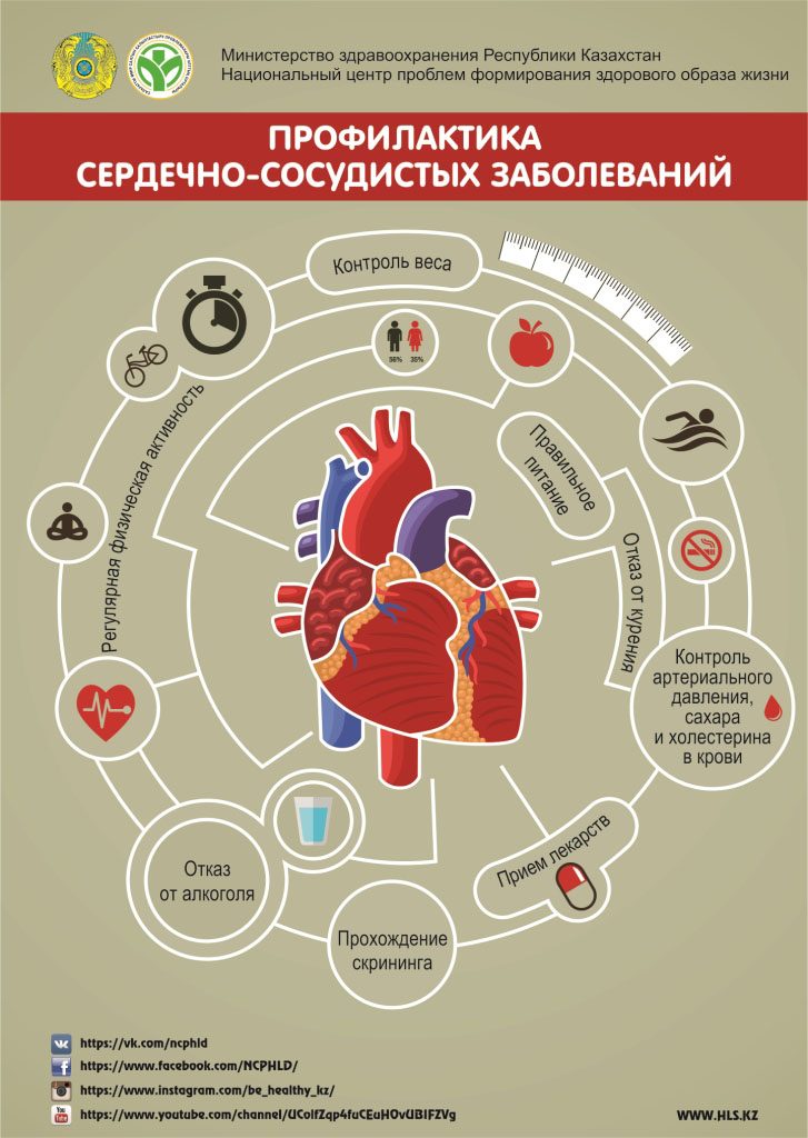 профилактика сердечно-сосудистых заболеваний ифографик